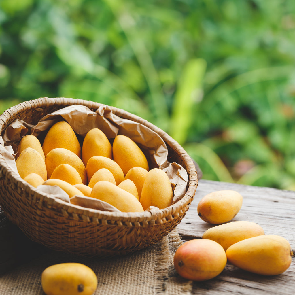 Fresh Anwar Ratol Mangoes (10Kg Box)