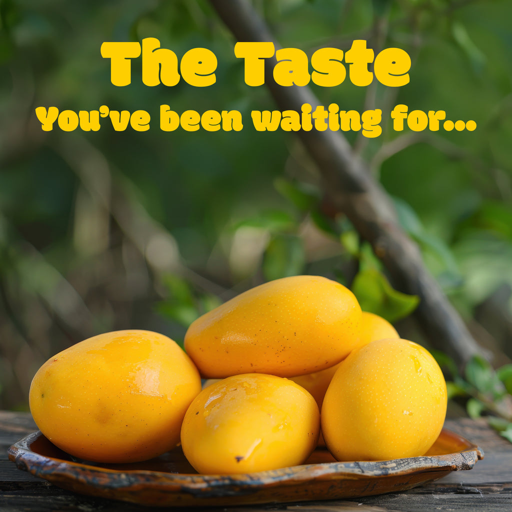 Multani Mousami Chaunsa Mangoes (10Kg Box)