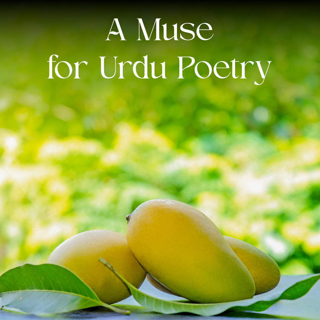 The Famous Dussehri Mangoes (10Kg Box)
