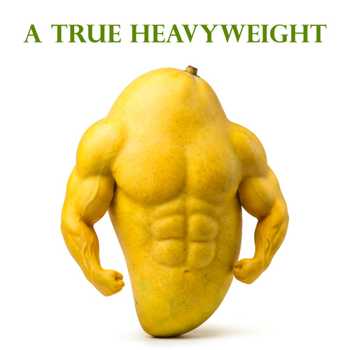 Fajri Mangoes (10Kg Box)