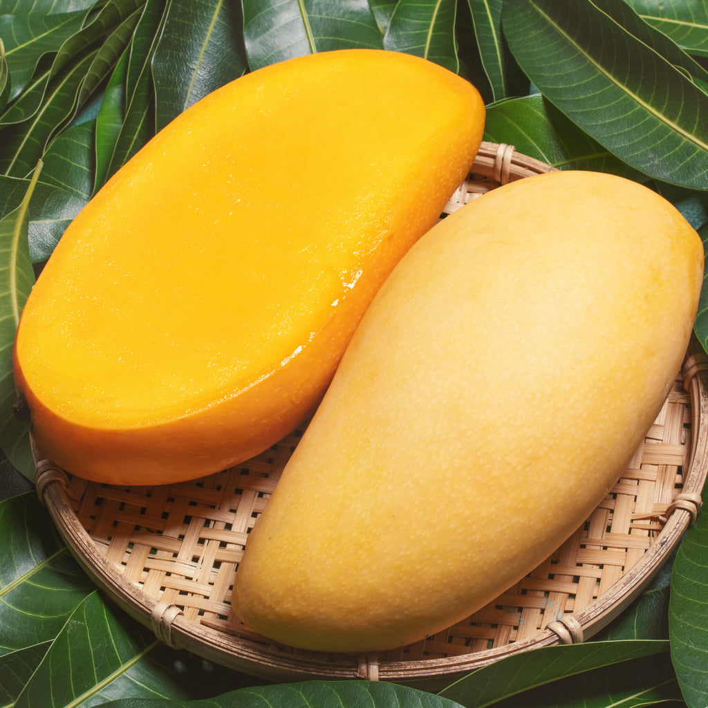 Fajri Mangoes (10Kg Box)