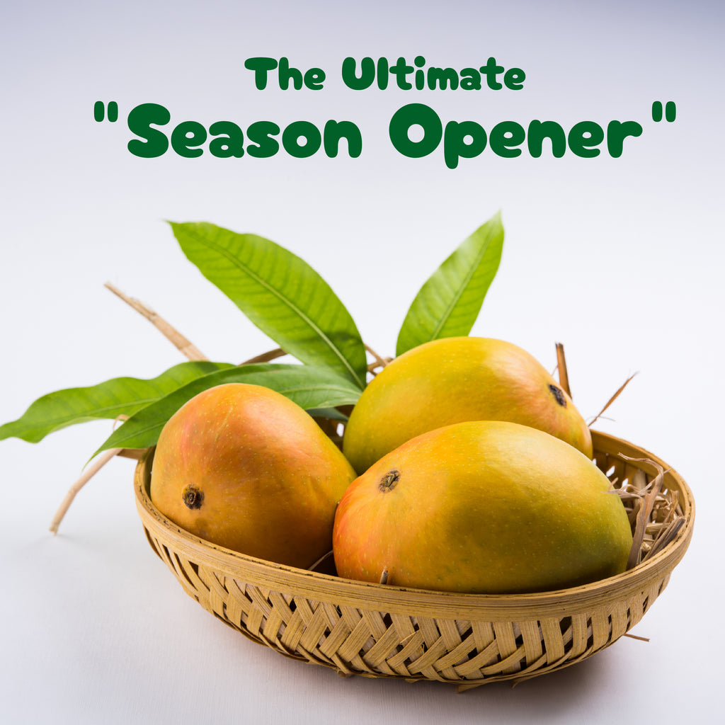 Saroli Mangoes (10Kg Box)