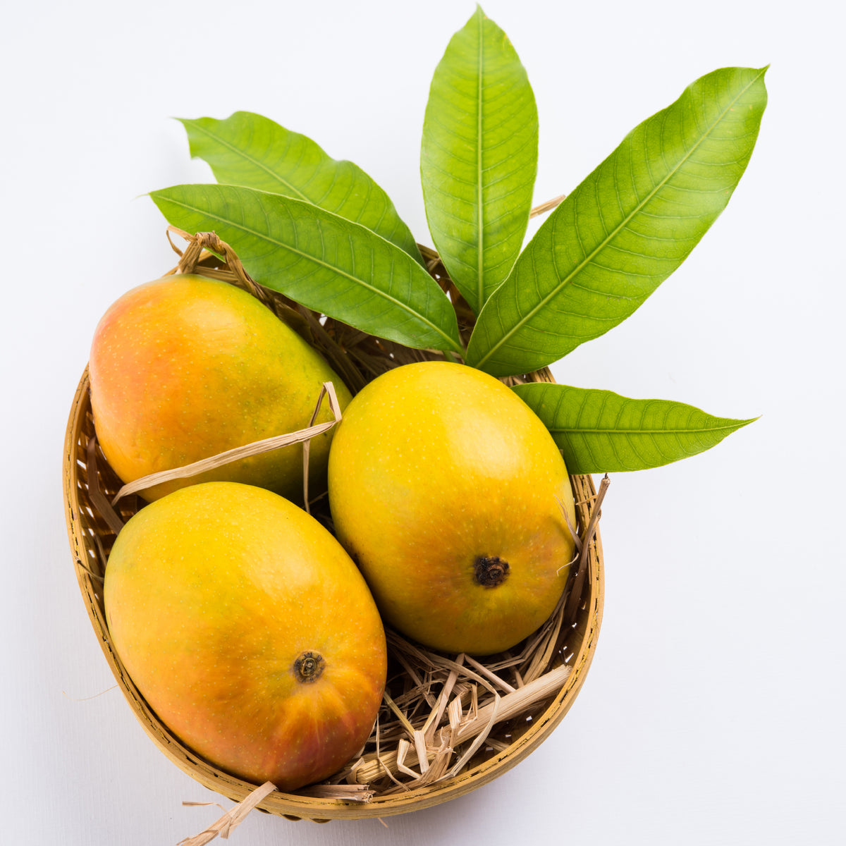 Saroli Mangoes (10Kg Box)