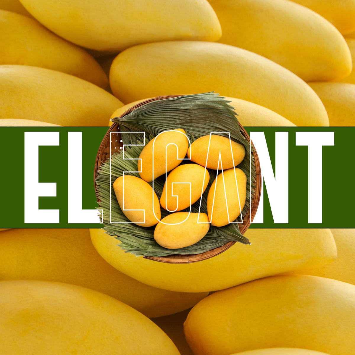 Jumbo Sindhri Mangoes (10Kg Box)