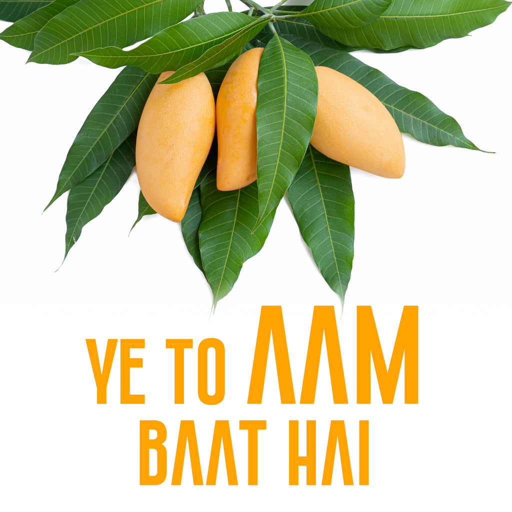 Jumbo Sindhri Mangoes (10Kg Box)